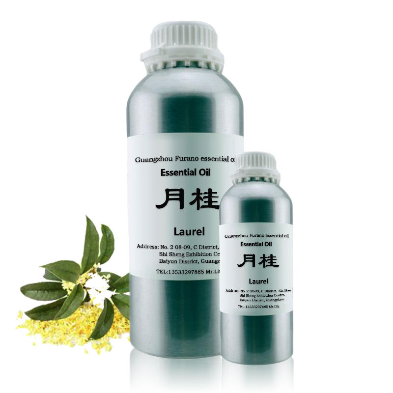 月桂精油 单方精油 精油批发 化妆品原料