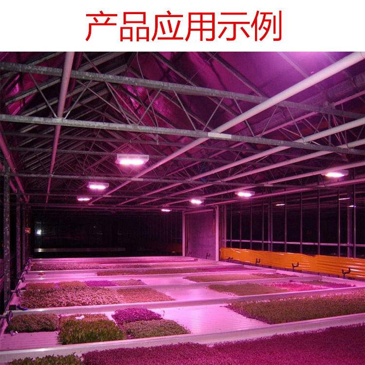 ����60��3535������ҽ������ֲ�ﲹ���660nm�߹��ʺ��led����