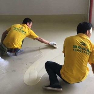 �|�����ϩ���͸�̎��������ط����|ʩ����ϩ�����͸��N��̎��