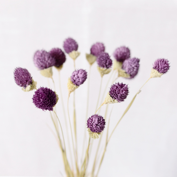[Snowball Fruit] Dried flower craft flower arrangement