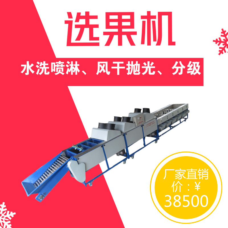脐橙分级机 水果清洗风干分级