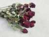 [Rose dried flowers] Wholesale dried flowers rose single -head rose air -dried rose box packaging material