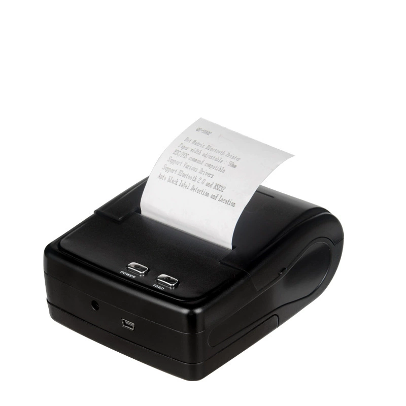 Handheld double printer, software, bluetooth, 2 pieces