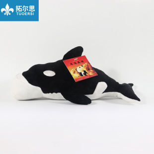 ���Së�q��ż���滢�L���к������ﶨ ��IP��I������������l