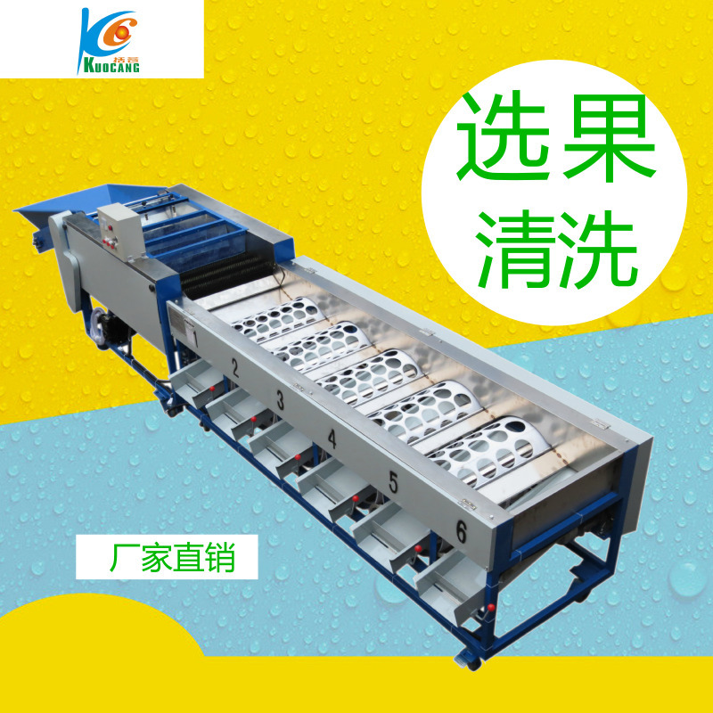 脐橙清洗分选机水果分级机果蔬水洗选果机水果保鲜液喷淋分级机