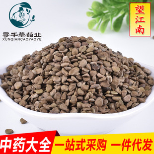 ���l�F؛ �������� ���w���\�Ž��I һ�����l�\�д��� һ�����l؛