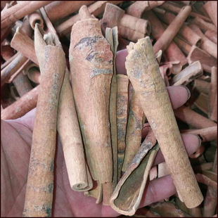 �����ș�����l��� ���� ���l���N�{���������нӴ�؛����r��