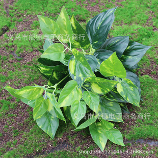 8��56�~�G�}�����f����ֲ�����S���G���b��u���~�S�����l