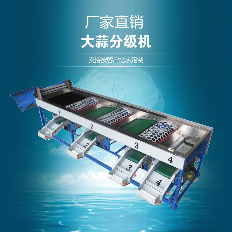 大蒜分级机 大蒜选果机 独头蒜分选机 洋葱分级机生产厂家