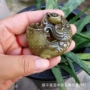 老古董仿古收藏杂项玉佩