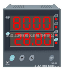 WIDEPLUS/上润WP-D921-022-1212-N双回路智能数字测控仪