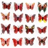 7cm double -layer big red