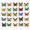 7cm double -layer multi -mixed color