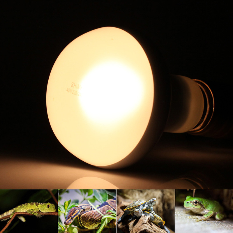 DR80 Pet Heating Bulb Flat Top Frosted Reflective Bulb Spotlight Climbing Pet Warm Heating Bulb Pet Lamp DR80 Pet Heating Bulb Flat Top Frosted Reflective Bulb Spotlight Climbing Pet Warm Heating Bulb Pet Lamp