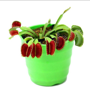 ʳ�xֲ��t�A��ω��С��ǷN������Ӳ��nω�������ʳ�x�ݻ��؃r