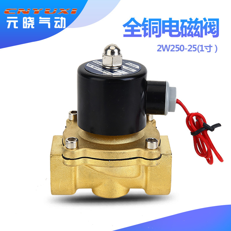 CNYUXI 黄铜电磁阀2W250-25 1寸常闭水阀气阀管道DN25水用电磁阀