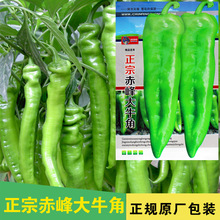 �����N����������ǽ��N���߲˷N�����l�˷N���ѷN��