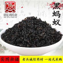 黑蚂蚁 黄蚂蚁 红蚂蚁 老兵诚信原药材实体店经营 大蚂蚁