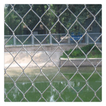 ��\�����W�Gɫ���ھW400��5*5/6*6����W�{����r�񃞻�