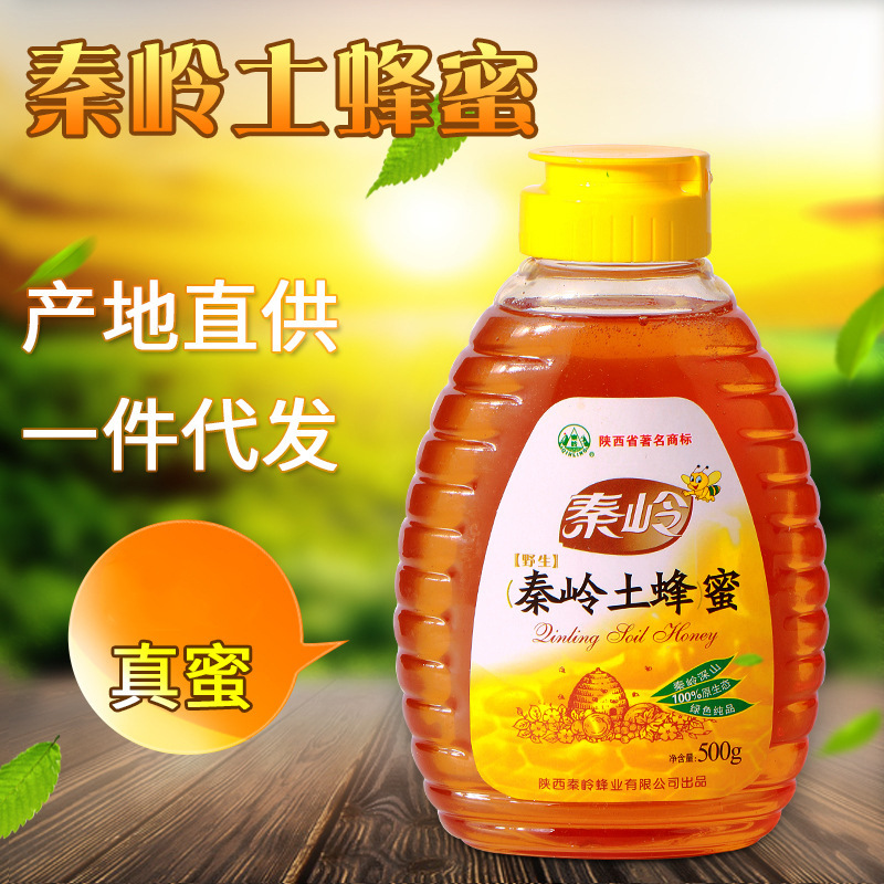 秦岭深山农家土蜂蜜 500g成熟土蜂蜜厂家批发 特产土蜂蜜