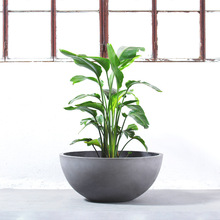 ���s���W����ˮ�໨�脓��ͥԺ�b����V���S�����l