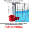 Bird drinking water heater automatic drinking water feeds edible bird ornamental napharine parrot supplies automatic feeding bird feeder