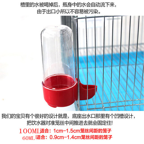 Wholesale bird waterer automatic drinker feeder ornamental bird mynah parrot supplies automatic feeding bird feeder