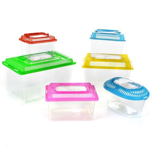 Small plastic handheld transparent aquarium