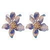 Fashionable resin, universal acrylic earrings, European style, Korean style