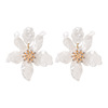 Fashionable resin, universal acrylic earrings, European style, Korean style