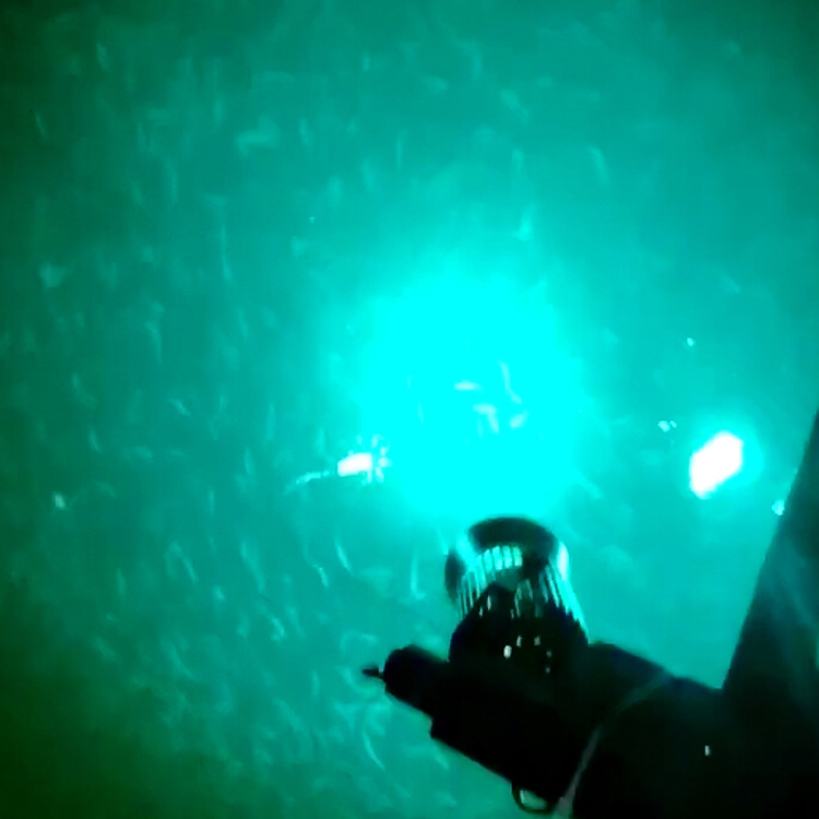 �޺���Ʒ����COB���� 50W����Ƽ���Ƶ��� �洬����LED��Դ