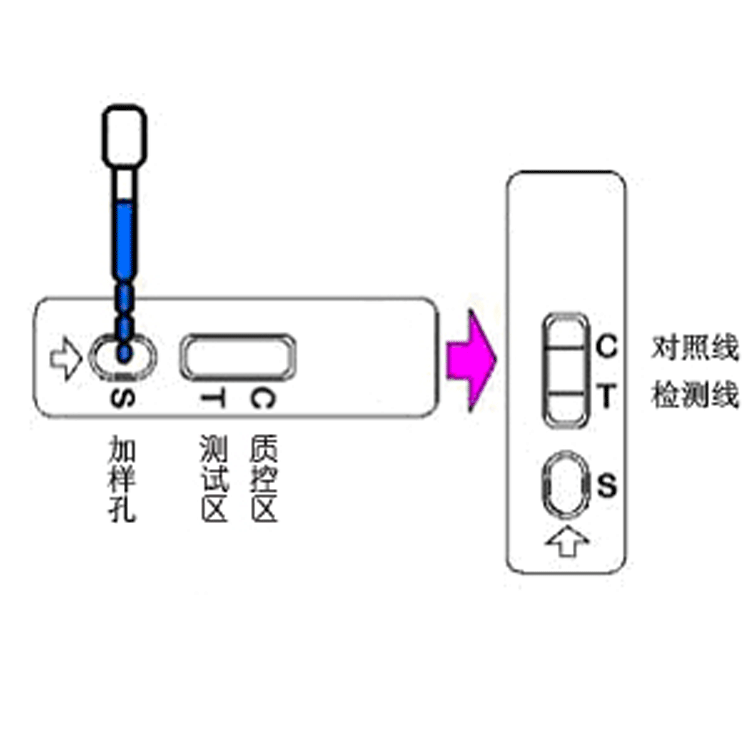 瘦肉精莱克多巴胺快速检测卡盐酸克伦特罗检测卡沙丁胺醇检测卡