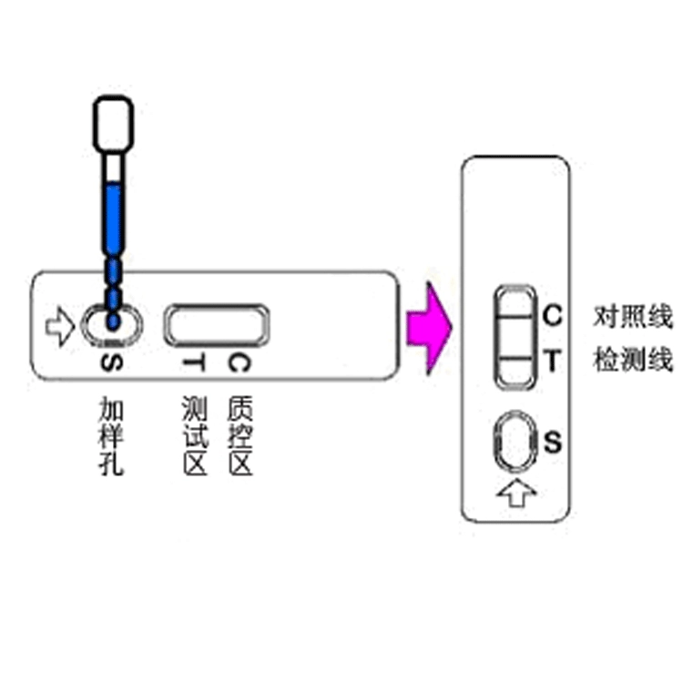 Кленбутерол рактопамин быстрый тест карты Кленбутерол Гидрохлорид Тест Карты сальбутамол тест карты