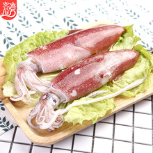 福建东山鱿鱼500g烧烤食材 【爱心鱼满舱一件代发直播】野生