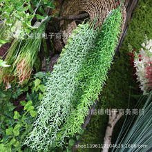 ��Ʒ���T���ٗl��ѿ����ֲ���ķ���ˮ�ݱڒ왻���b�������