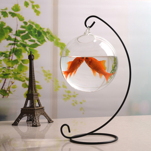 Hanging glass transparent succulent fish tank vase small glass fish tank creative fighting fish tank mini fish tank