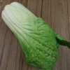 PU Xiaocai (Green)