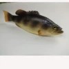 Pu yellow croaker