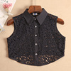 Spring universal lace demi-season false collar, shirt, tank top, sweater, decorations, Korean style