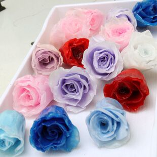 ��֬���z�M�ڸɻ�õ�廨���r��diy���h���������Ʒ������Ʒ