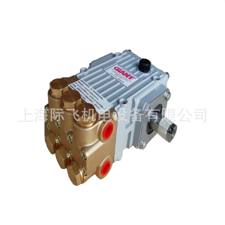 供应美国GIANT高压泵P318 淡化机泵