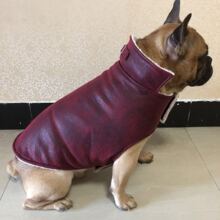 �����·� ������b�S��ֱ�N ��ţ������ �������� ��ţȮƤ��