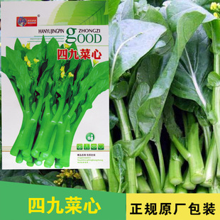 ���ķN�Ӳ������ľŲ��ķN���߲˷N�����l�˷N���ѷN�ӹ�˾