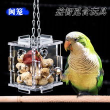 鸟用品鹦鹉啃咬觅食玩具 笼内乐趣益智训练鸟笼配件镜子空中食盒