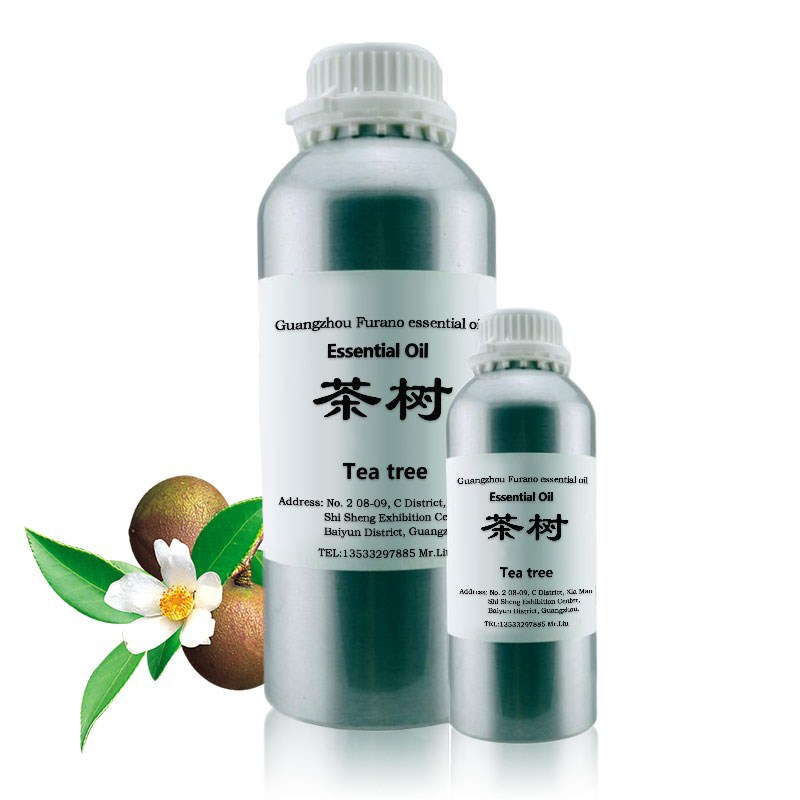 批发 茶树精油 Tea Tree Essential Oil