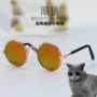 个性搞怪狗狗宠物眼镜