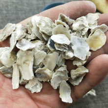 �������l��ĵϠ �S��ɢ�b500������ă��Vʯ� ĵϠƬ�r�aƷ���l