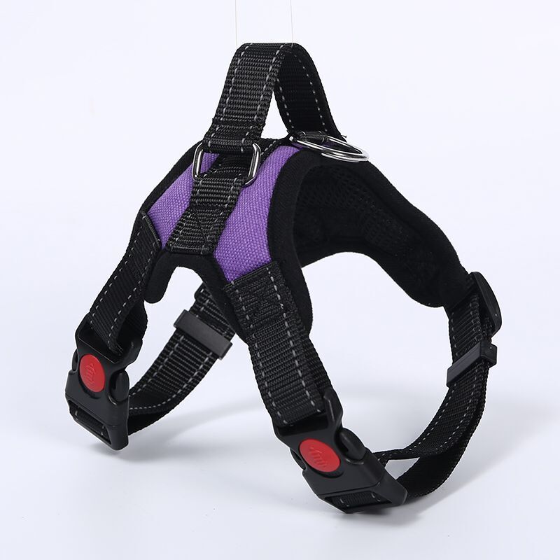 Correa para mascotas mediana y pequeña correa de pecho de perro Cadena de perro para mascotas cuerda para caminar suministros para mascotas