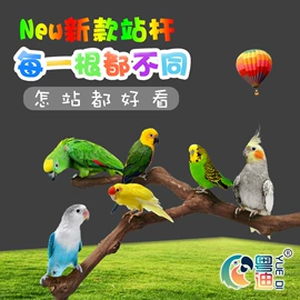 鸟笼;鸟类;仓鼠生活用品