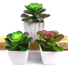 �a��؛Դ����ֲ�� ��ɏ��ʯɏ�����ϾGֲ �������ֲ�������辰